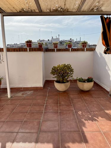 terraza1.jpg.jpg